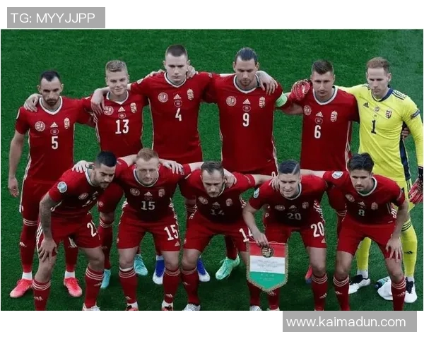 捷克足球明星阵容揭秘他们如何在国际赛场上崭露头角