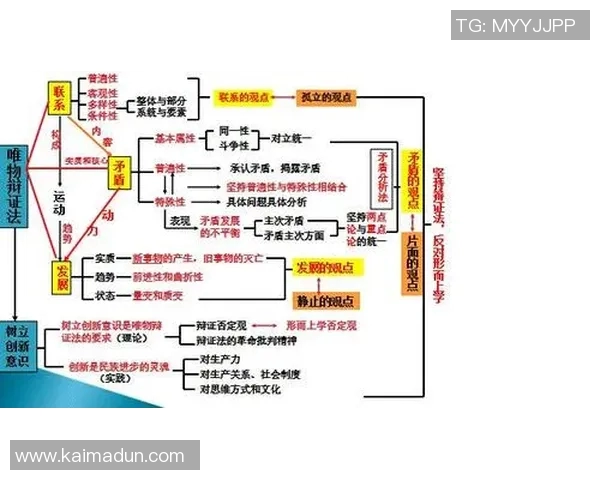武汉排球队意识对比深度剖析与战术思维的影响研究