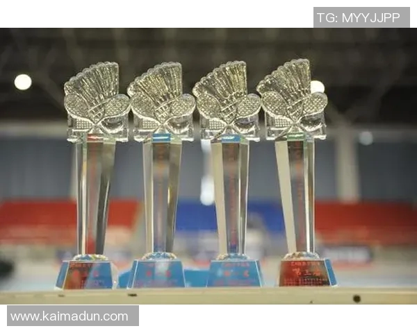 南京羽毛球队灵活性分析与训练策略探讨 南京羽毛球队灵活性分析与训练策略探讨