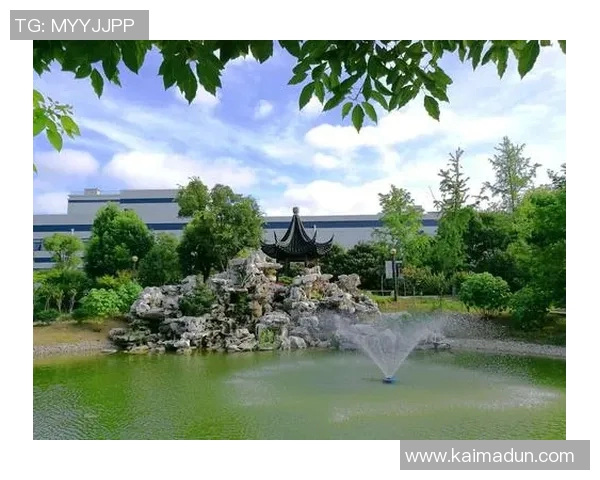 成都排球队的成长之路：从默默无闻到钻石联赛的璀璨之星