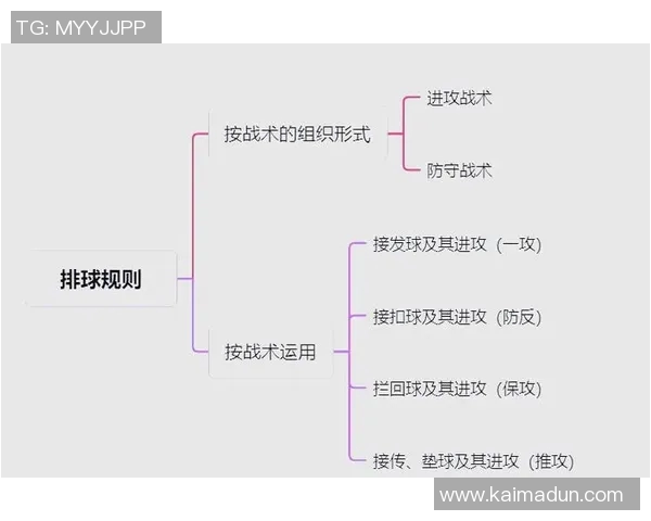 深圳排球队防反战术深度解析与实战应用探讨 深圳排球队防反战术深度解析与实战应用探讨