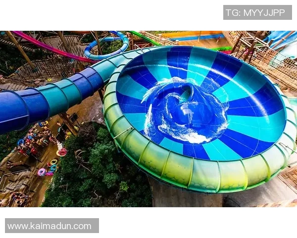 杭州篮球队的极速风暴揭秘:速度与激情的完美结合 杭州篮球队的极速风暴揭秘:速度与激情的完美结合