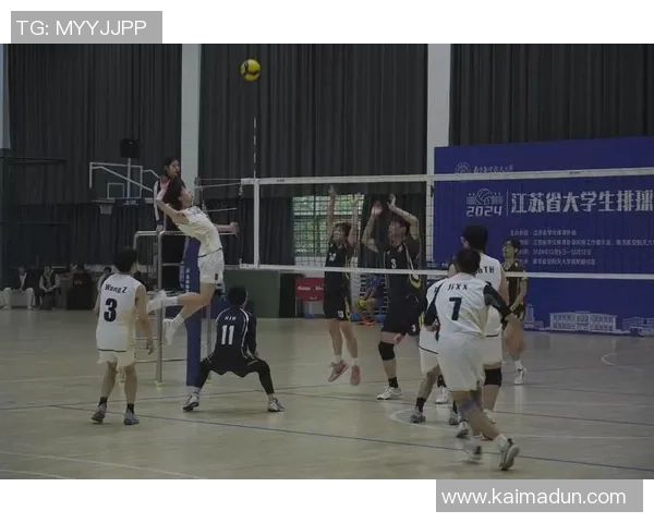 排球盛宴：深入探讨成都排球队的团队协作与默契配合