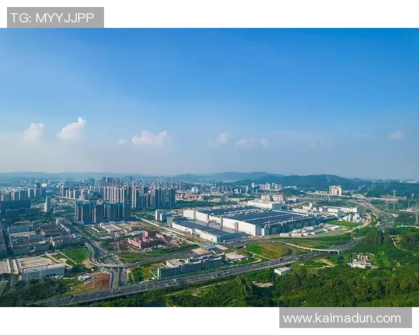 深圳乒乓球队的崛起之路与成长历程全景揭秘 深圳乒乓球队的崛起之路与成长历程全景揭秘