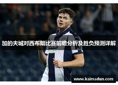 加的夫城对西布朗比赛前瞻分析及胜负预测详解